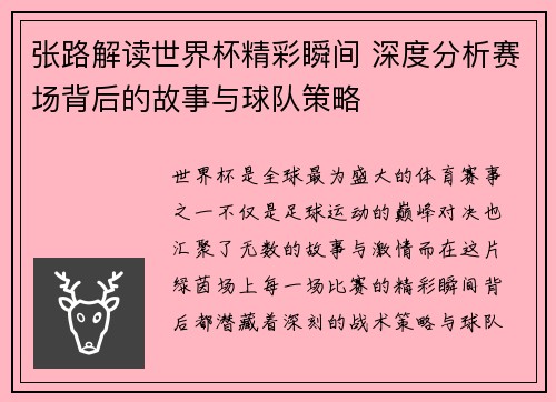 张路解读世界杯精彩瞬间 深度分析赛场背后的故事与球队策略